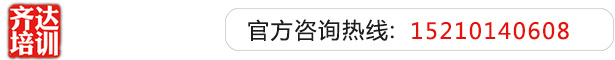 插老骚逼视频齐达艺考文化课-艺术生文化课,艺术类文化课,艺考生文化课logo